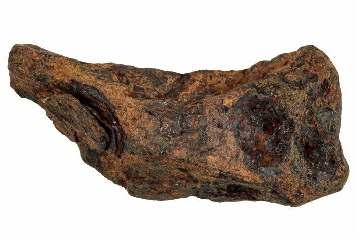 Agoudal Iron Meteorite ( g) - Morocco #288895